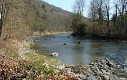 Camping Sihlwald