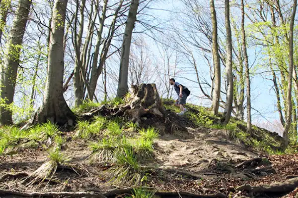 Camping Sihlwald