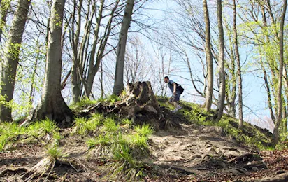 Camping Sihlwald