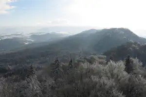 Winterlicher Blick über bewaldete Berge und ein weites Tal, mit schneebedeckten Bäumen im Vordergrund.