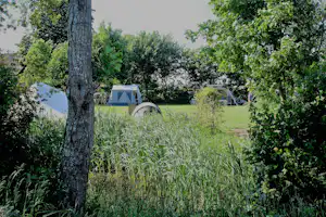 Camping Simmerwille - Standplätze auf der Wiese auf dem Campingplatz