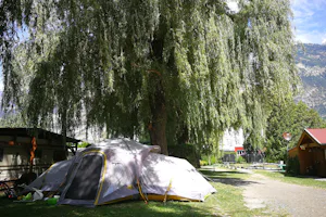 Camping Simplonblick - Zelt unter einem Baum auf dem Zeltplatz vom Campingplatz