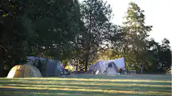 Natuurkampeerterrein Minicamping Singel