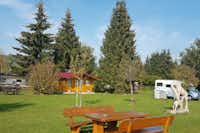 Camping Sinntal - Stellplätze und Mobilheim im Grünen auf dem Campingplatz