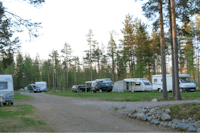 Camping Skabram - Wohnwagen- und Zeltstellplatz an einem Waldstück vom Campingplatz