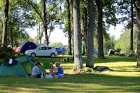 Camping Skotteksgården  -  Wohnwagen- und Zeltstellplatz vom Campingplatz unter Bäumen