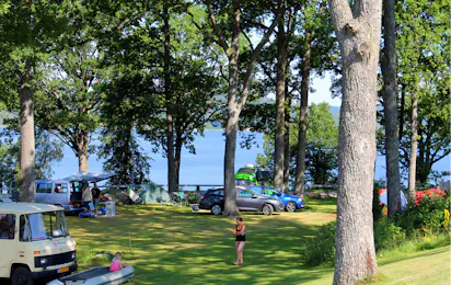Skotteksgården Camping