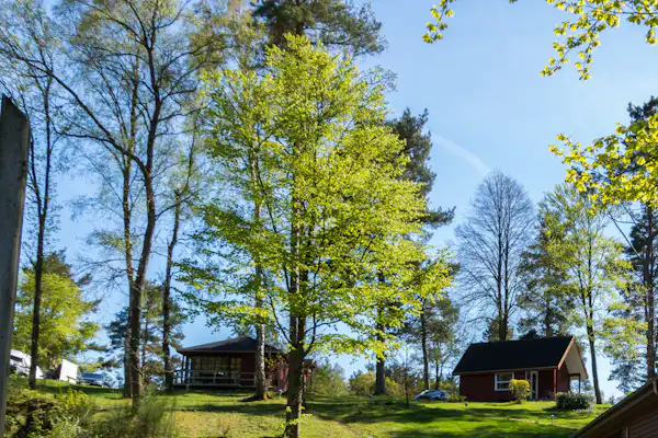 Skyttehusets Outdoor Camp