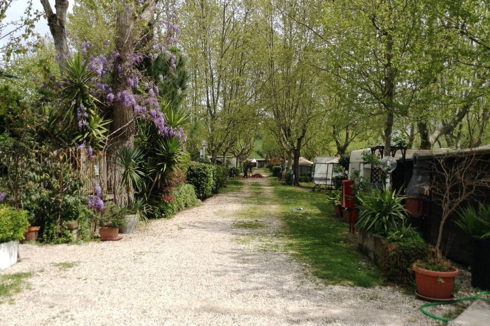 Camping Smeraldo - Gehweg auf dem Campingplatz zwischen Wohnwagen und Bäumen