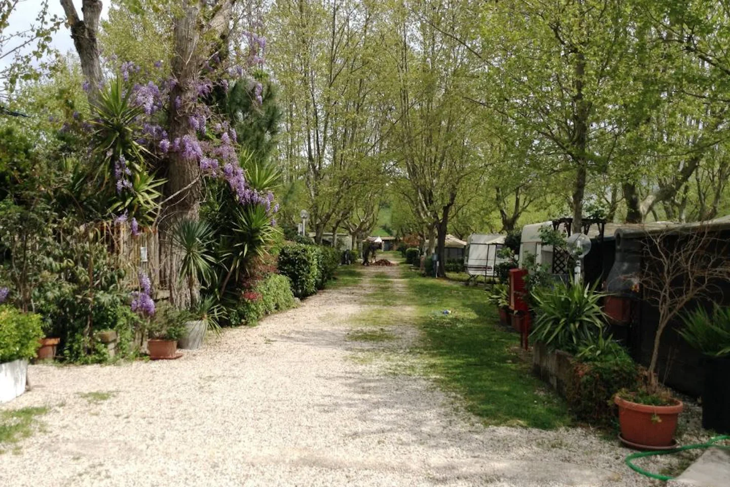 Camping Smeraldo (Trevignano Romano)