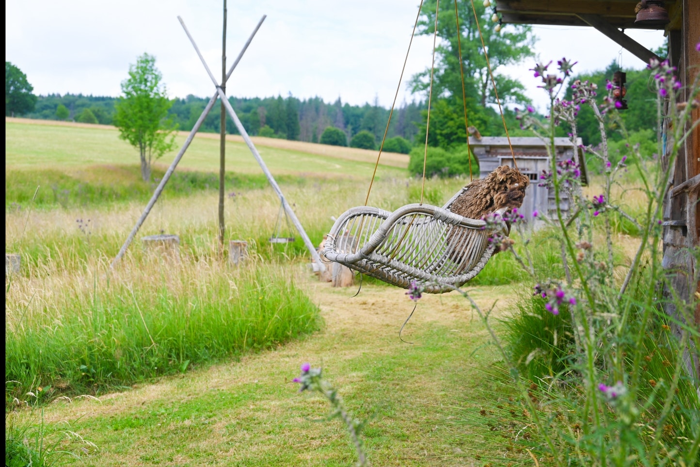 Camping Sohl am Rothaarsteig - Hängeschaukel im Grünen