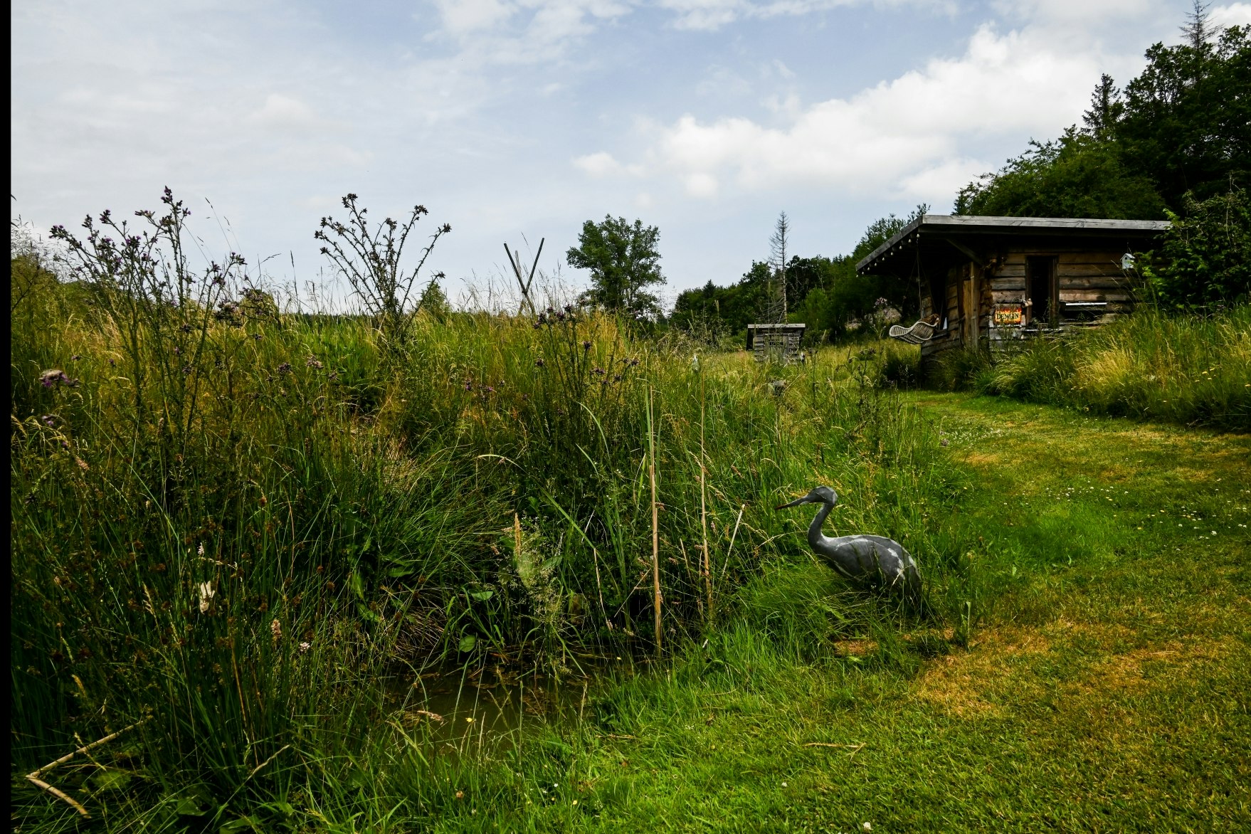 Camping Sohl am Rothaarsteig - Kleiner Teich auf dem Campingplatz