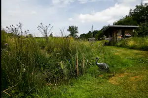 Grüner Campingplatz mit hohem Gras, Bank und kleinem Holzgebäude am Rand, Bäume und Himmel im Hintergrund.