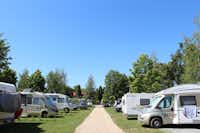 Camping Sokol Praha - Wohnwagen- und Zeltstellplatz vom Campingplatz zwischen Bäumen