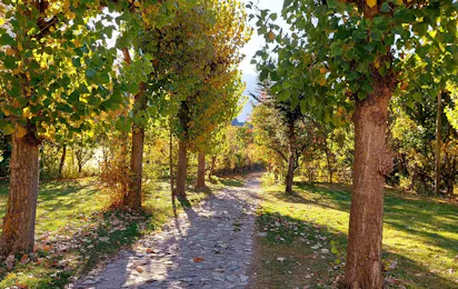 Camping Solau