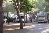 Camping Sole e Mare  -  Wohnmobile und Wohnwagen auf dem Stellplatz vom Campingplatz im Schatten von Bäumen