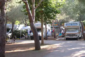 Camping Sole e Mare - Wohnmobile und Wohnwagen auf dem Stellplatz vom Campingplatz im Schatten von Bäumen