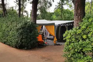 Campingzelt mit Vorhang und Stühlen auf einem Stellplatz, umgeben von Büschen und hohen Bäumen.