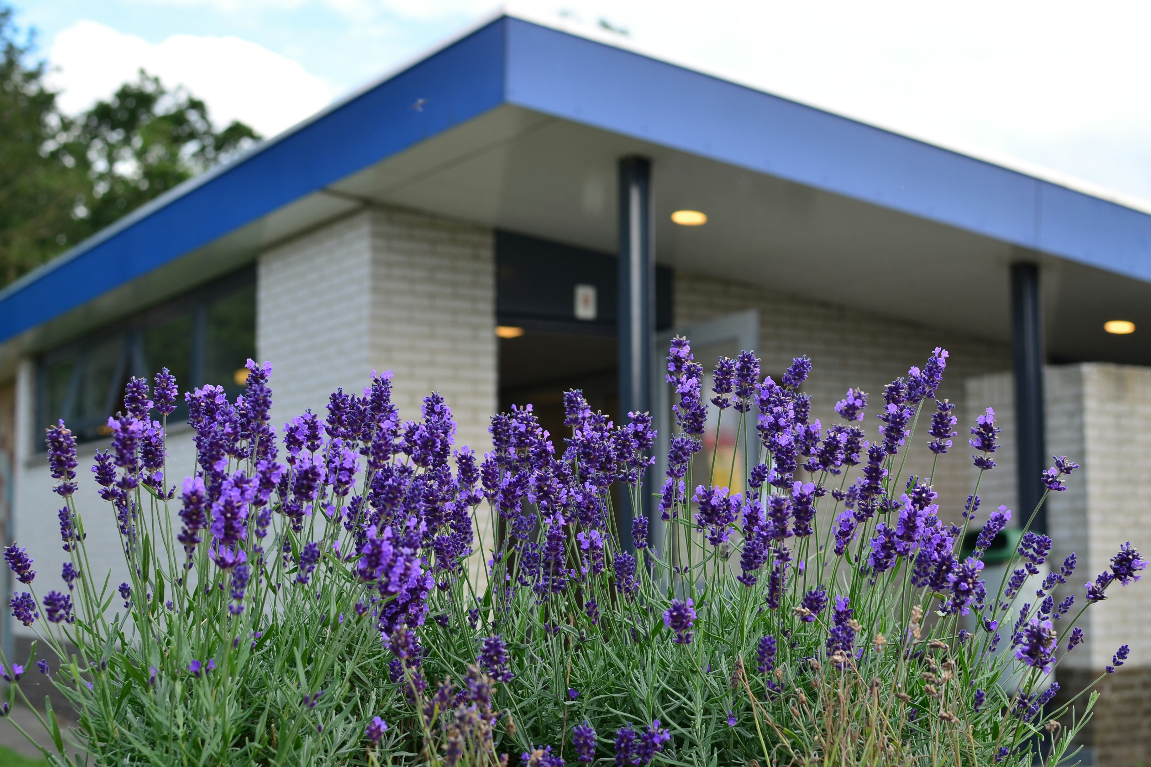 Camping Sollasi - Blick auf das Sanitärgebäude