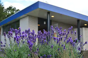 Lavendelblüten im Vordergrund vor einem Campinggebäude mit blauer Dachkante und Fenstern.