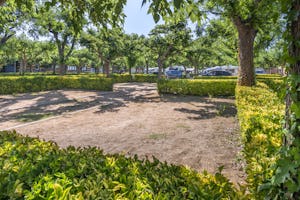 Camping Solmar - Standplätze auf dem Campingplatz