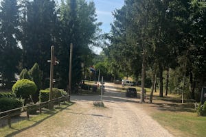 Camping Sonnenberg - Standplätze zwischen den Bäumen auf dem Campingplatz