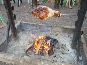 Camping Sonov