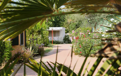 Camping Spiaggia e Mare