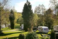 Camping Spineuse Neufchâteau - der Wohnwagen- und Zeltstellplatz zwischen Bäumen