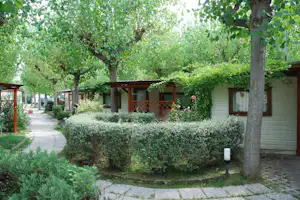 Reihe von Camping-Bungalows mit Holzveranda und Fenstern, gepflasterter Weg und Heckenbeete unter Bäumen im Garten.