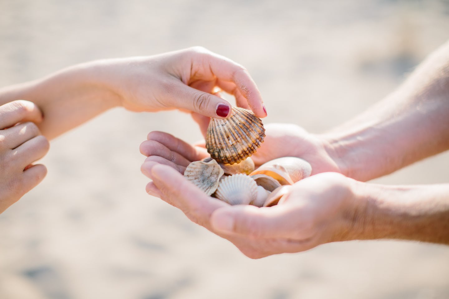 Camping Le Sérignan Plage Nature
