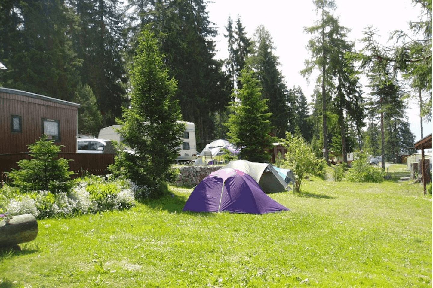Camping St. Cassian - Zeltplatz vom Campingplatz auf einer Wiese im Grünen