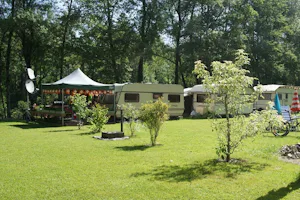 Camping St. Gallen - Wittenbach - Wohnmobilstellplatz vom Campingplatz im Grünen zwischen Bäumen