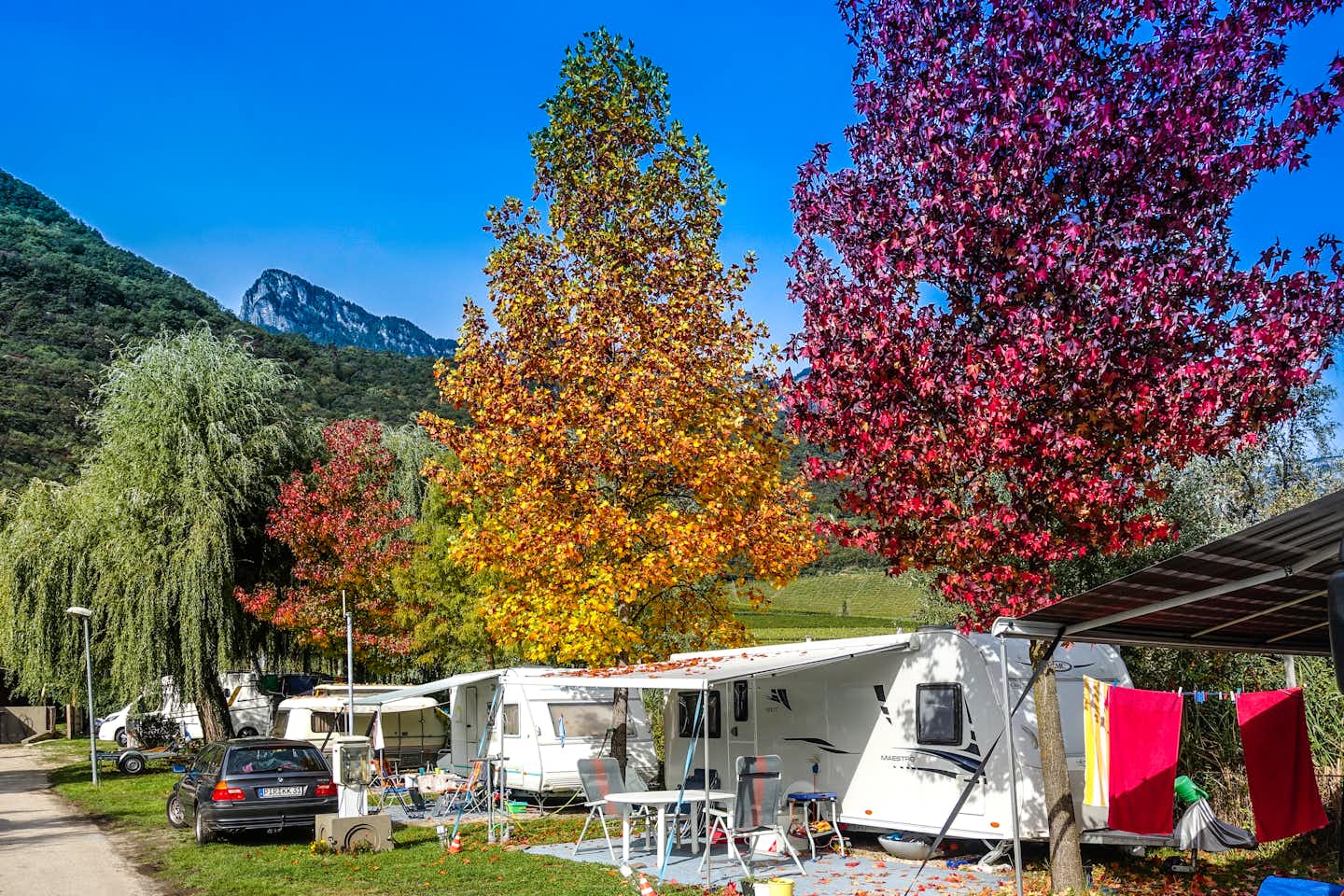 Camping St. Josef am Kalterer See  -  Wohnwagen- und Zeltstellplatz vom Campingplatz zwischen Bäumen mit Blick auf die Alpen