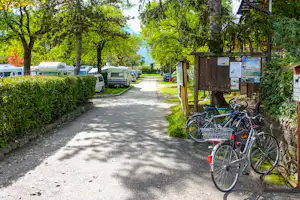 Camping St. Josef am Kalterer See - Stellplätze vom Campingplatz zwischen Bäumen