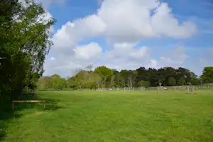 Grüne Campingwiese mit Zaun, Schafen im Gehege und Bäumen am Rand unter blauem Himmel mit Wolken.