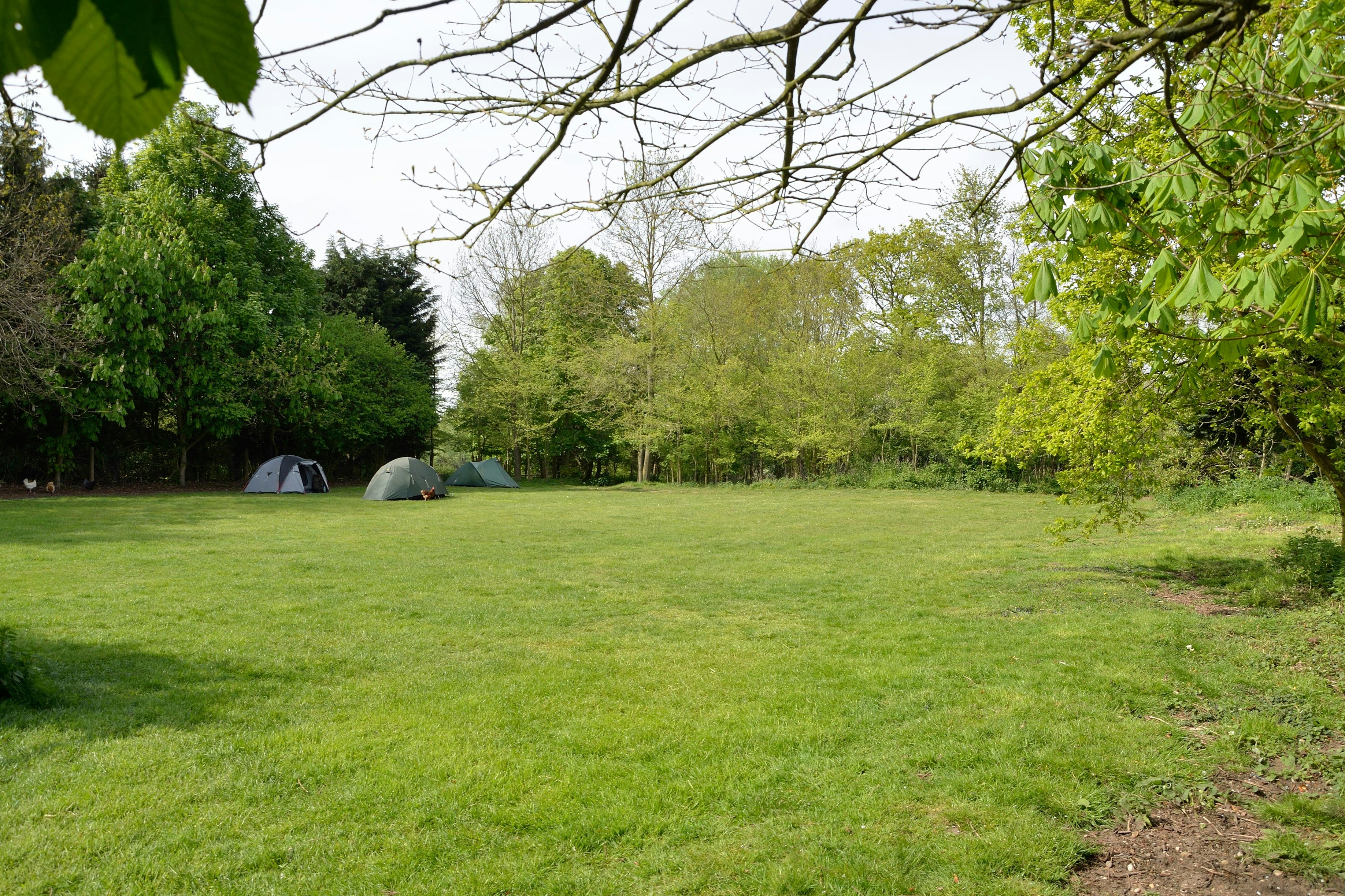Shottisham Campsite Camping St. Margaret's - Wohnmobil- und Wohnwagenstandplätze auf der Wiese