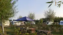 Camping Stal 't Bardehof