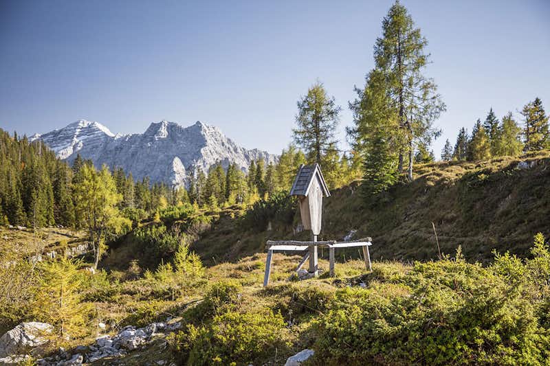 Camping Steinplatte - Idyllische Wanderwege in Naturlandschaften in der Umgebung vom Campingplatz