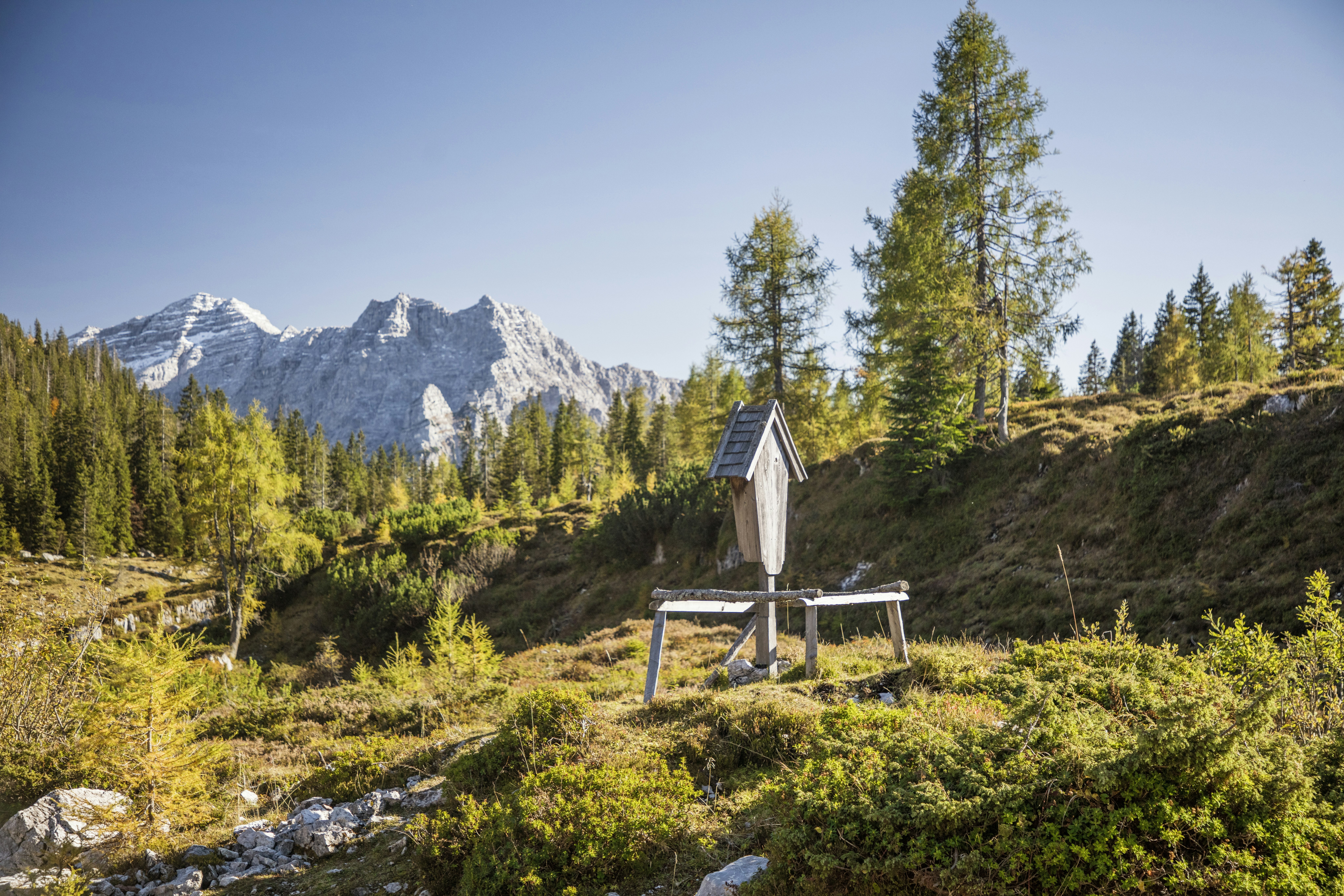 Bergpanorama mit kleinem Camping-Unterstand, Bank und Tisch auf einer Wiese, umgeben von Lärchen und Felsgestein.