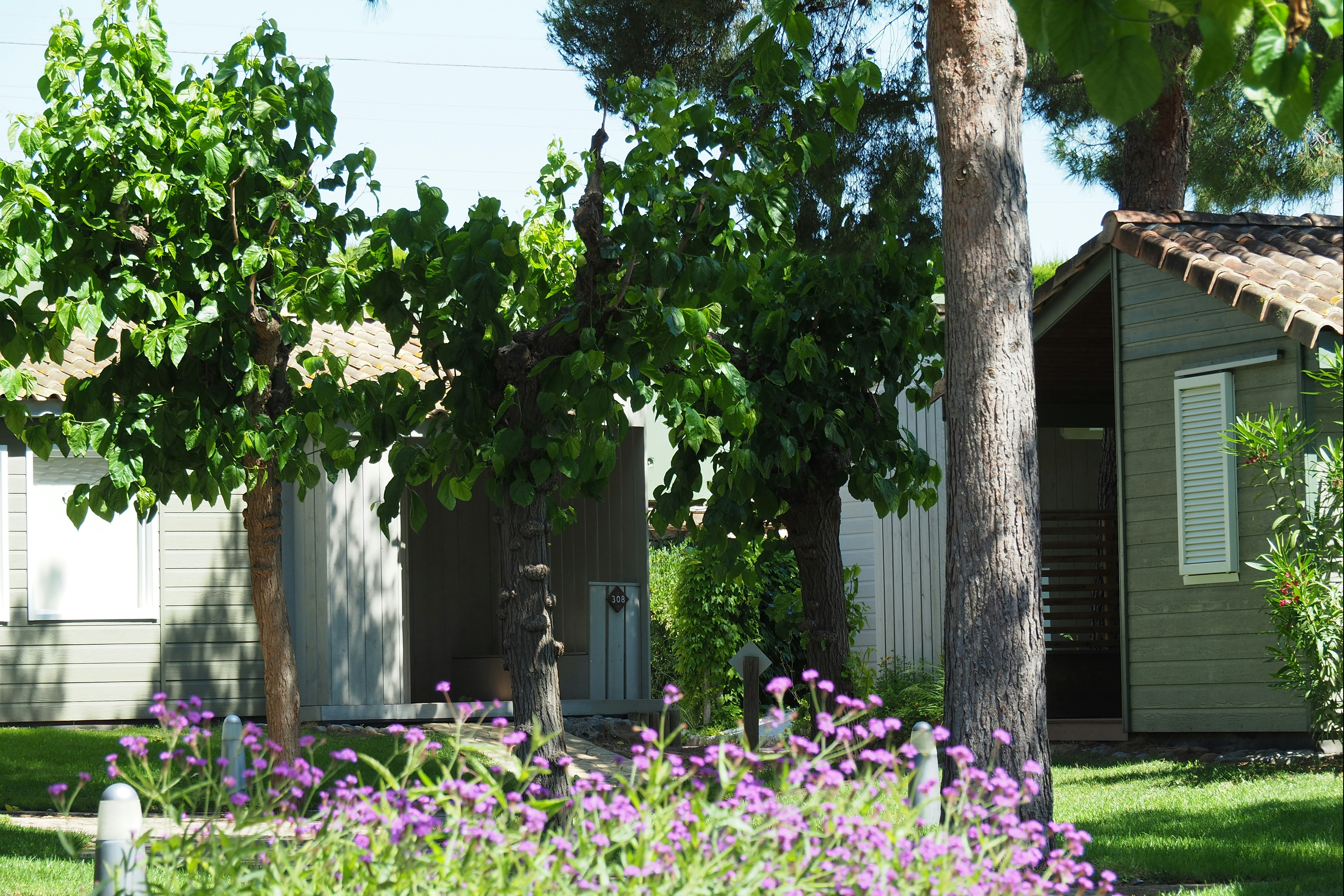 Stel Camping & Bungalow Resort  - Mobilheime auf dem Campingplatz