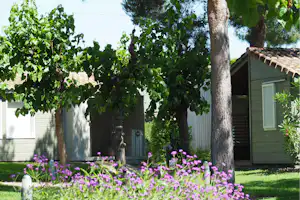 Stel Camping & Bungalow Resort - Mobilheime auf dem Campingplatz