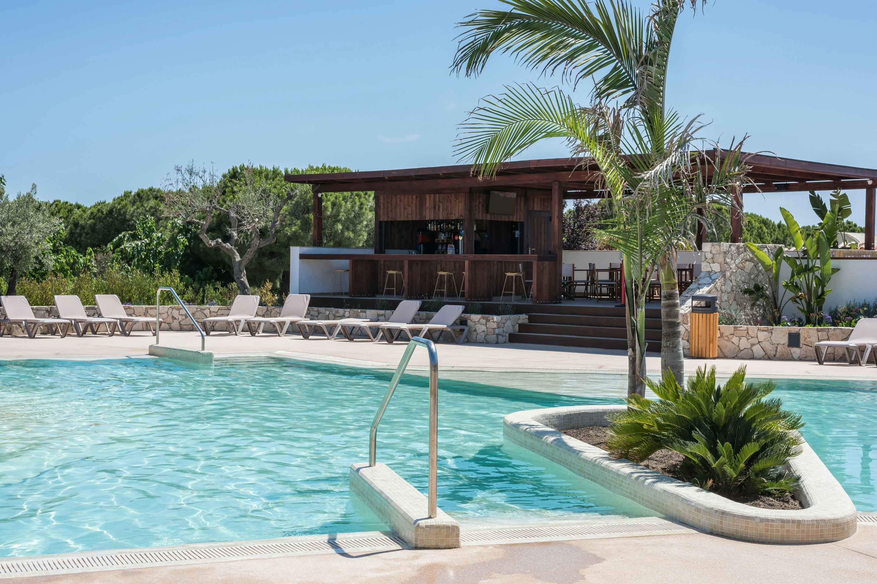 Stel Camping & Bungalow Resort - Pool mit Palme auf dem Campingplatz