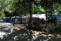 Camping Stella del Sud - Stellplätze unter Bäumen auf dem Campingplatz