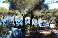 Camping Stella Mare - Zelte unter Bäumen auf dem Stellplatz