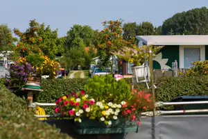 Wohnwagen und Mobilheim am Campingplatz, umgeben von Hecken und Blumenbeeten mit bunten Blüten im Vordergrund.