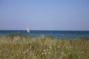 Camping Stieglitz - Segeln an der Meeresküste in der Umgebung vom Campingplatz