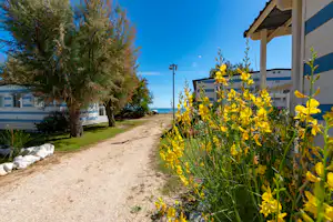 Camping Stork - Weg zum Strand