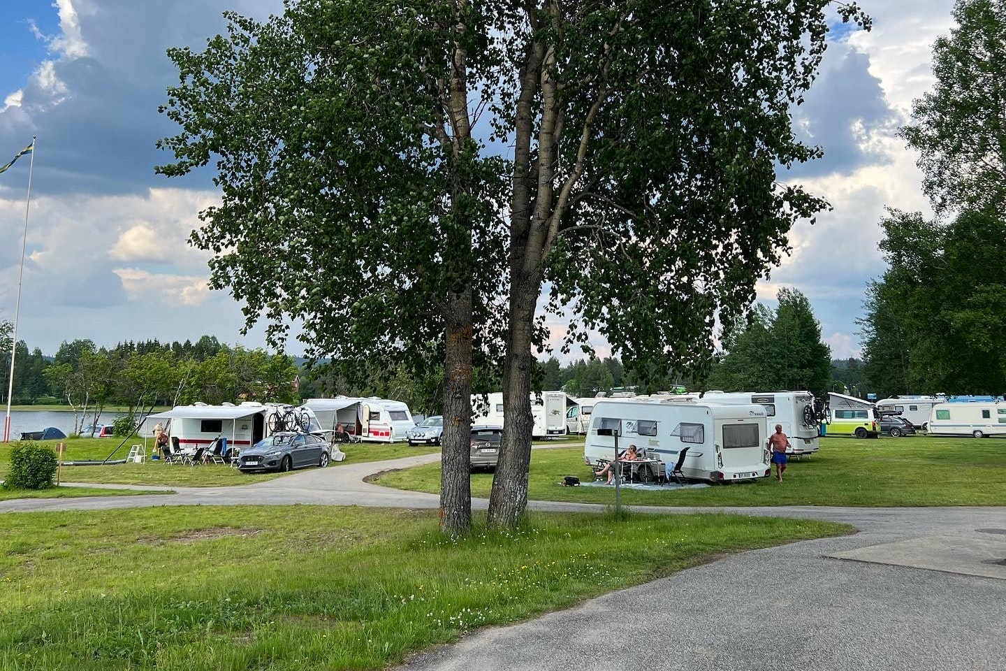 Großer Baum auf dem Campingplatz, Wohnmobile und Wohnwagen am Stellplatz, Rasen und Wege zwischen den Fahrzeugen.