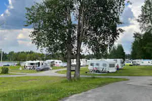 Großer Baum auf dem Campingplatz, Wohnmobile und Wohnwagen am Stellplatz, Rasen und Wege zwischen den Fahrzeugen.